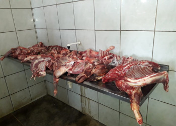Fiscalização encontra 60 quilos de carne estragada em frigoríficos de Oeiras